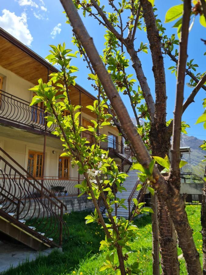 Hotel Sunny Mountain House Kazbegi Esterno foto
